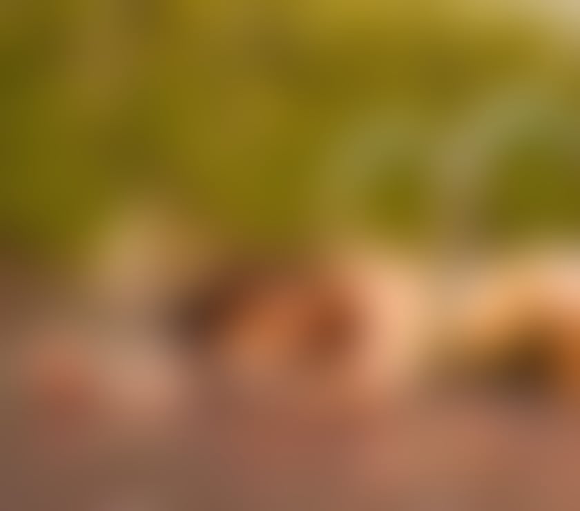 Escorts West Midlands Birmingham - Photos for Miiia Brazilian