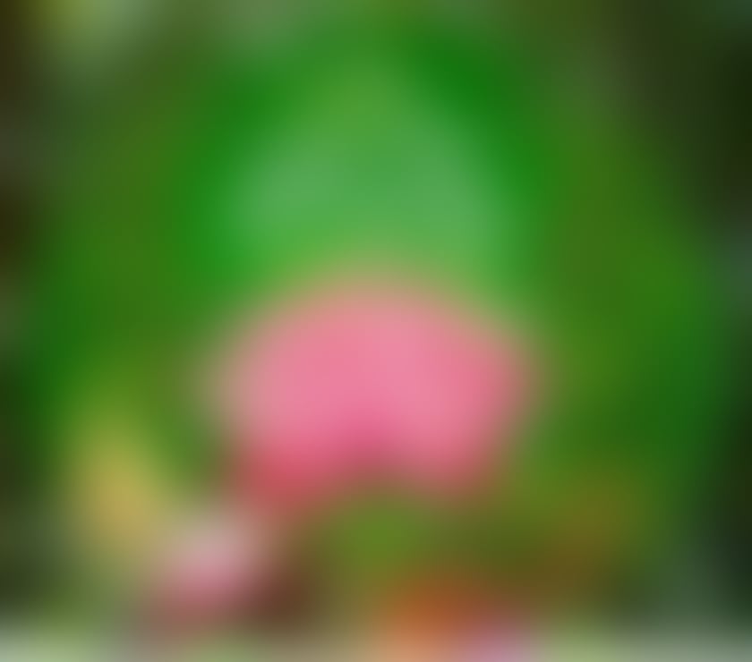 Escorts Glasgow Crosshill - Glasgow - Photos for Sensual Erotic Massage ~ Body to Body 💆💋📌