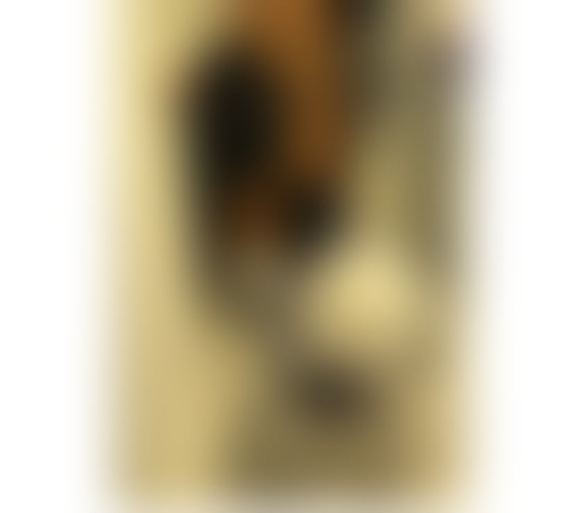 Escorts Somerset Yeovil - Somerset - Photos for 🇧🇷SEXY BRAZILIAN BELLA PARTYGIRL 🇧🇷☎️