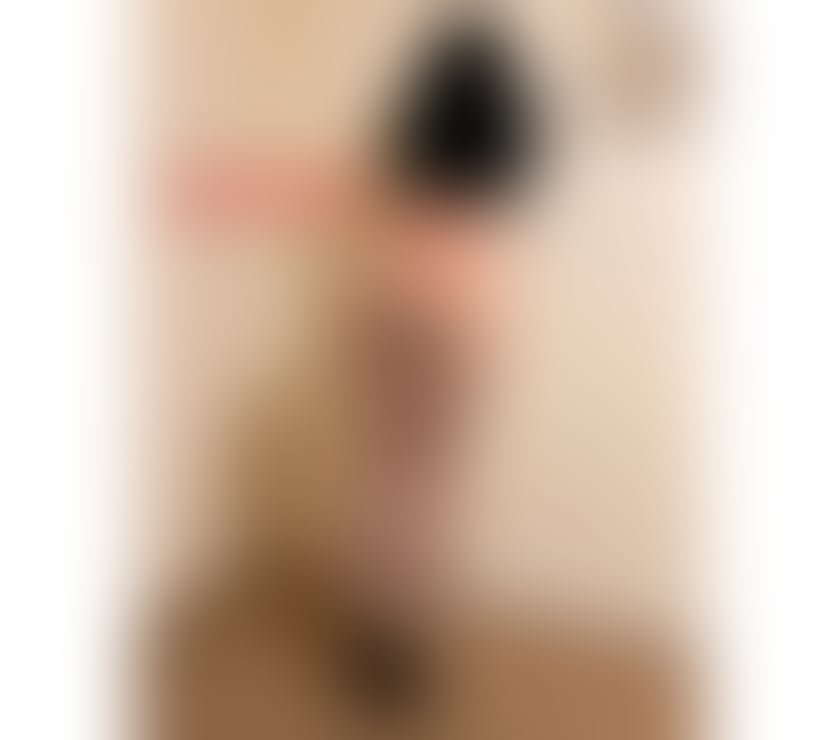 Escorts Wiltshire Calne - Wiltshire - Photos for 2 GRILS in Cheltenham 🚨PARTY 🚨