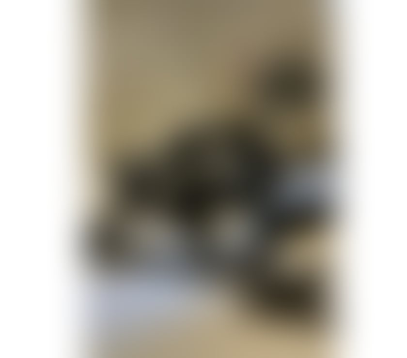 Escorts South East London Lewisham - South East London - Photos for Lucy 🤩💕Lou Dom Mistress❤️‍🔥