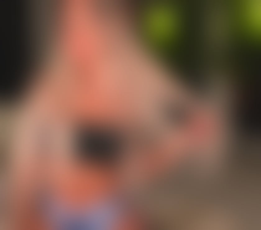 Escorts Highland Inverness - Highland - Photos for Hello Babe Full Services