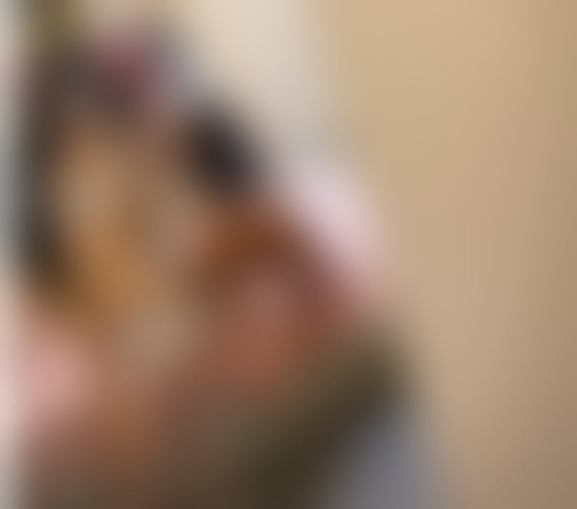 Escorts Belfast Belfast City Centre (South) - Belfast - Photos for Pleasure. I’ll be your luxury girlfriend💋100% Real