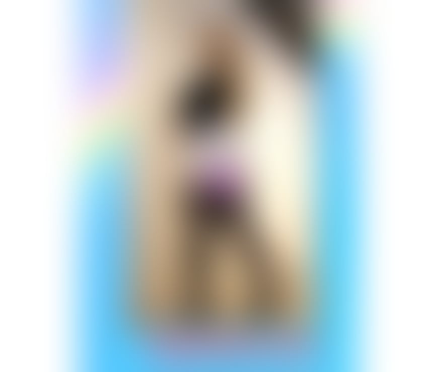 English Abbie 💖 ~Colnbrook SL3