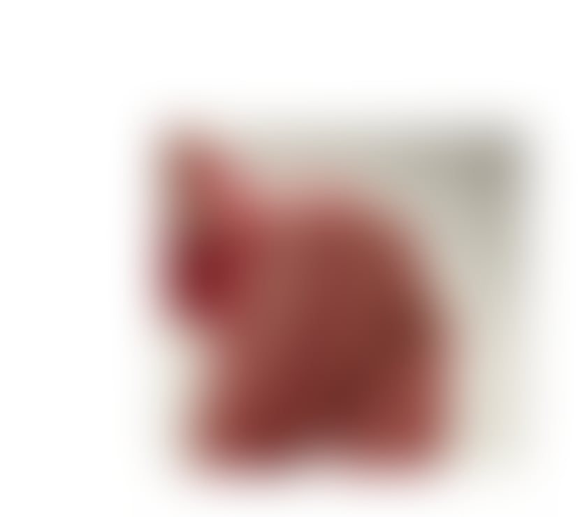 Escorts South West London South Wimbledon - South West London - Photos for Lena Polish New Girl