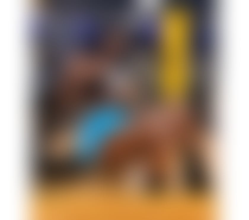 Escorts Devon Plymouth - Photos for 🔥Stylish Brazilian escort Beautiful Alice companion🔥