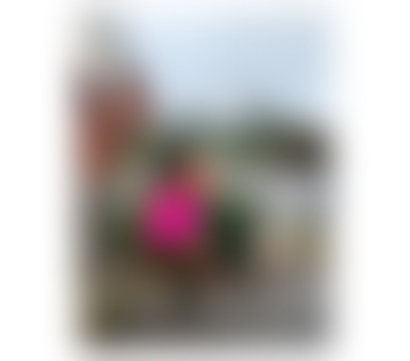 Escorts West Midlands Birmingham - Photos for JENNY DRIP ❣️💯 REAL PHOTOS