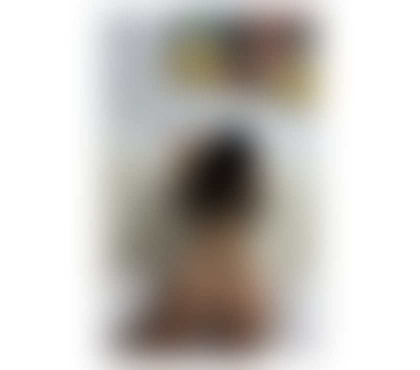 Escorts Swansea - Wales Brynmill - Swansea - Photos for Nikki new girl in Swansea !