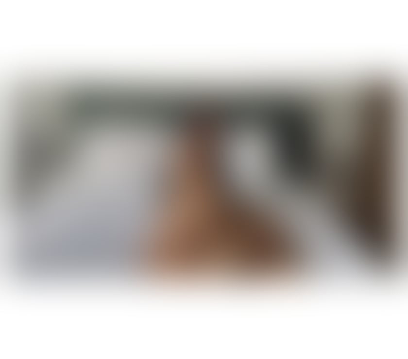 Escorts West Yorkshire Leeds - Photos for Sophie a new girl in your town. PARTY