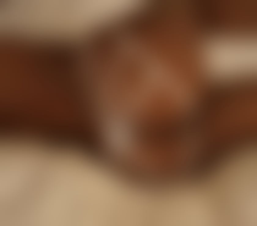 Escorts West Midlands Walsall - Photos for ZENDAYAA PARTY 2477