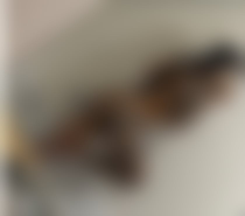 Escorts West Sussex Crawley - Photos for Ruby new girl in town! No rush💯 domination ‼️🔞