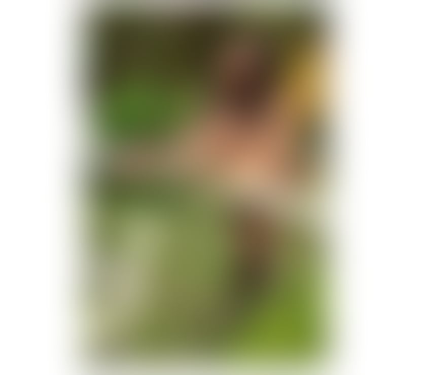 Trans Escorts North West London Wembley Park - North West London - Photos for 🔥DOMINATRIX HOT YOUR BEST OPTION IN UK🔥+447466269635