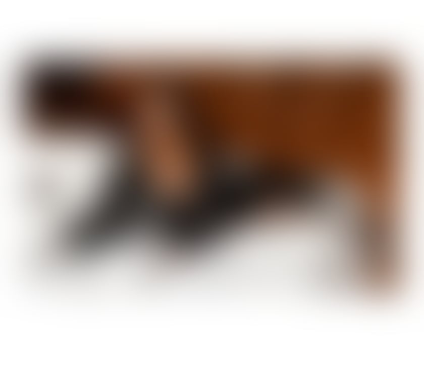 Escorts Windsor and Maidenhead Holyport - Windsor and Maidenhead - Photos for MOUNA VIP ESCORT FROM BEIRUT FULL SERVICE