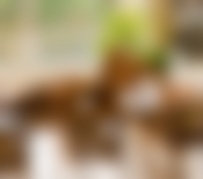 Escorts Cambridgeshire Cambridge - Photos for Eliza Latina 💛🧡🧡🧡