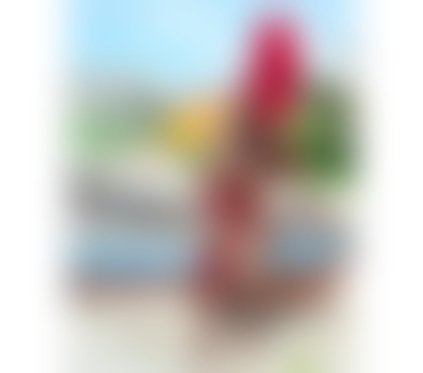 Transsexual Pitsea Basildon - Photos for INDIAN MARE MILK XXL🍆 newly arrived 🎊🎉