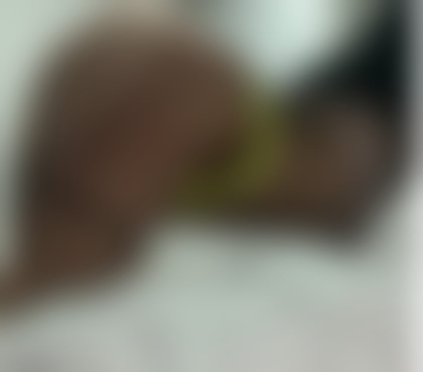 Escorts Peterborough Peterborough City Centre - Peterborough - Photos for Licking honey girl 🧒 🍯