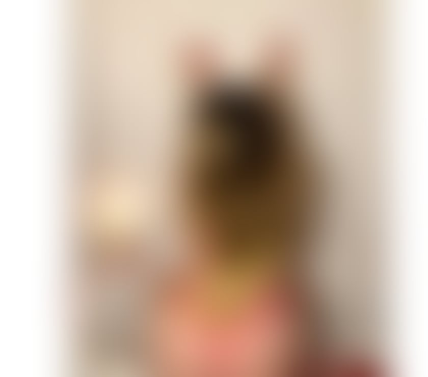 Escorts Westmorland and Furness Barrow-in-Furness - Westmorland and Furness - Photos for Top Girl👠Model Class❤️‍🔥