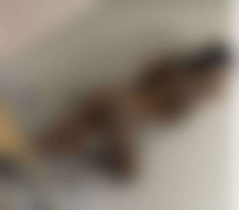 Escorts Eastbourne Town Centre Eastbourne - Photos for Kira party girl🥂no rush 🔞domination ‼️