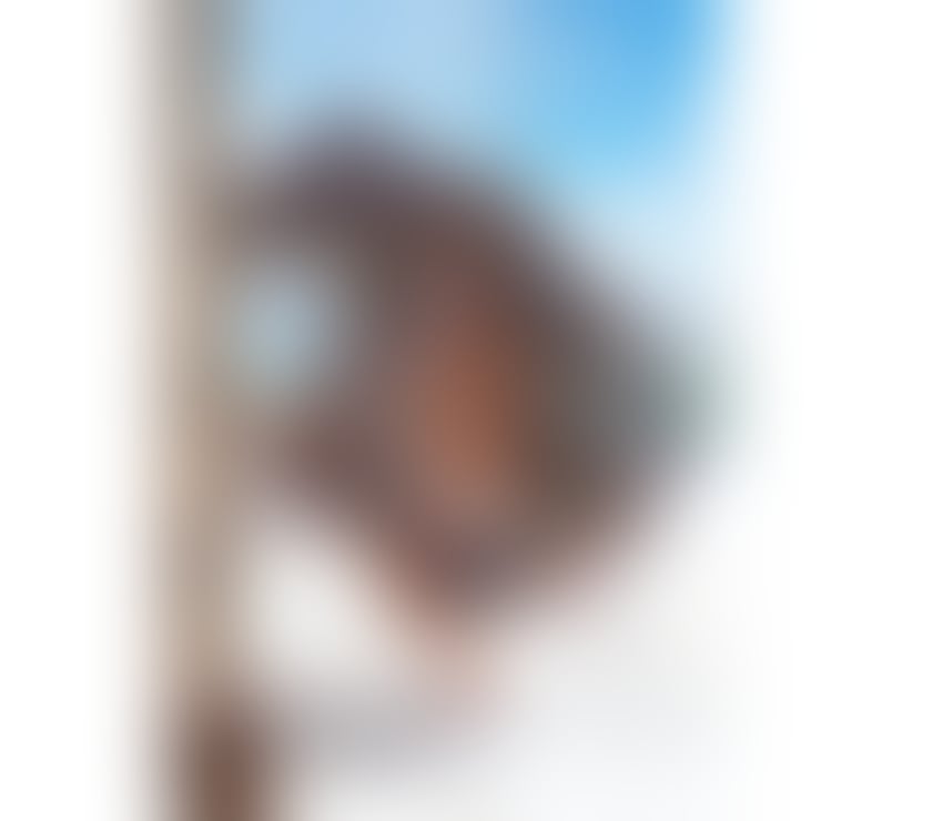 Trans Escorts Worcestershire Worcester - Photos for 🔥 NEW BRAZILIAN TS LEXA 🔥 NEW IN WORCESTER 😈