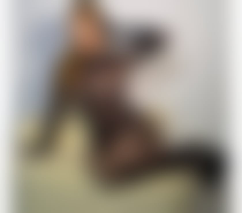 Escorts Hastings Town Centre Hastings - Photos for Mia Brazilian party girl 🇧🇷❤️