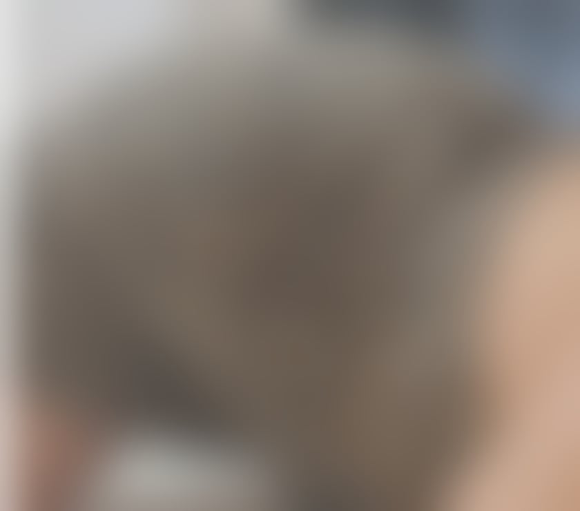 Escorts West Yorkshire Leeds - Photos for Hello, I'm Maya, I'm in your area, I party and travel.