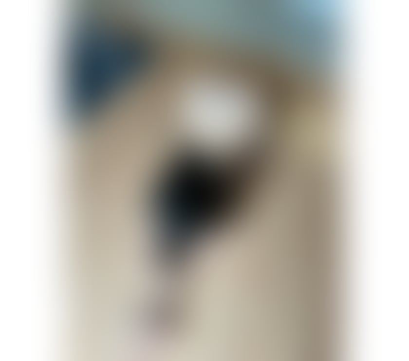 Escorts South Yorkshire Sheffield - Photos for ‼️HIGHCLASS 🔝JESSY