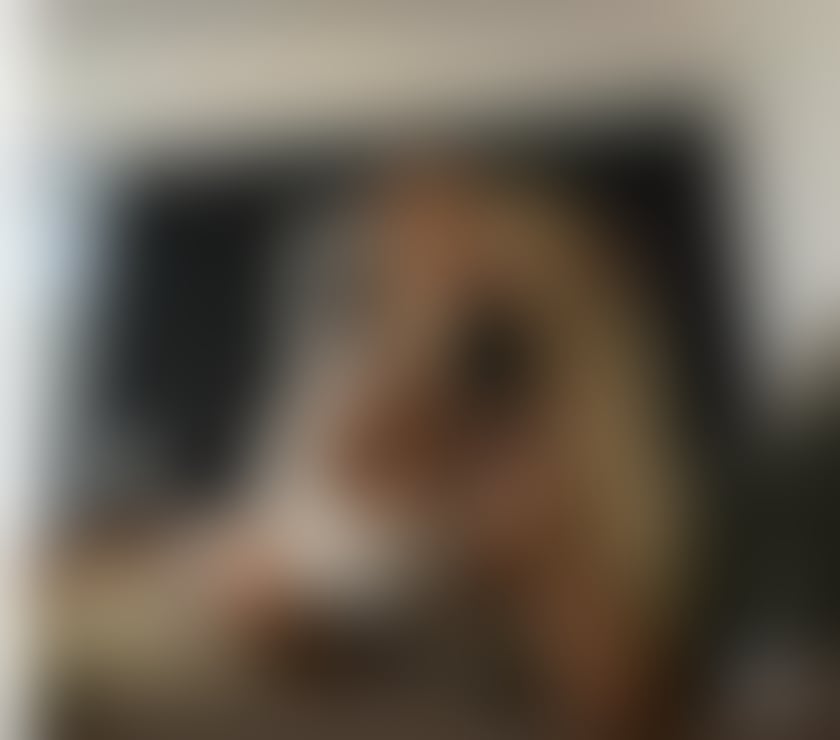 Escorts Surrey Woking - Photos for Sybel new in your town
