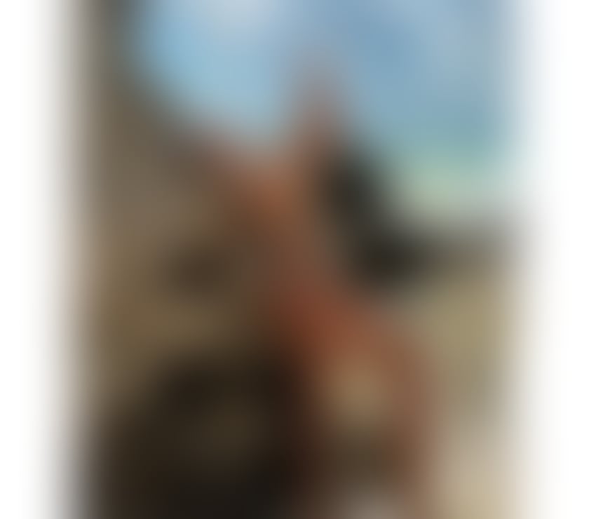 Escorts Reading Reading Town Centre - Reading - Photos for ❤️Luma❤️New❤️100%real ❤️