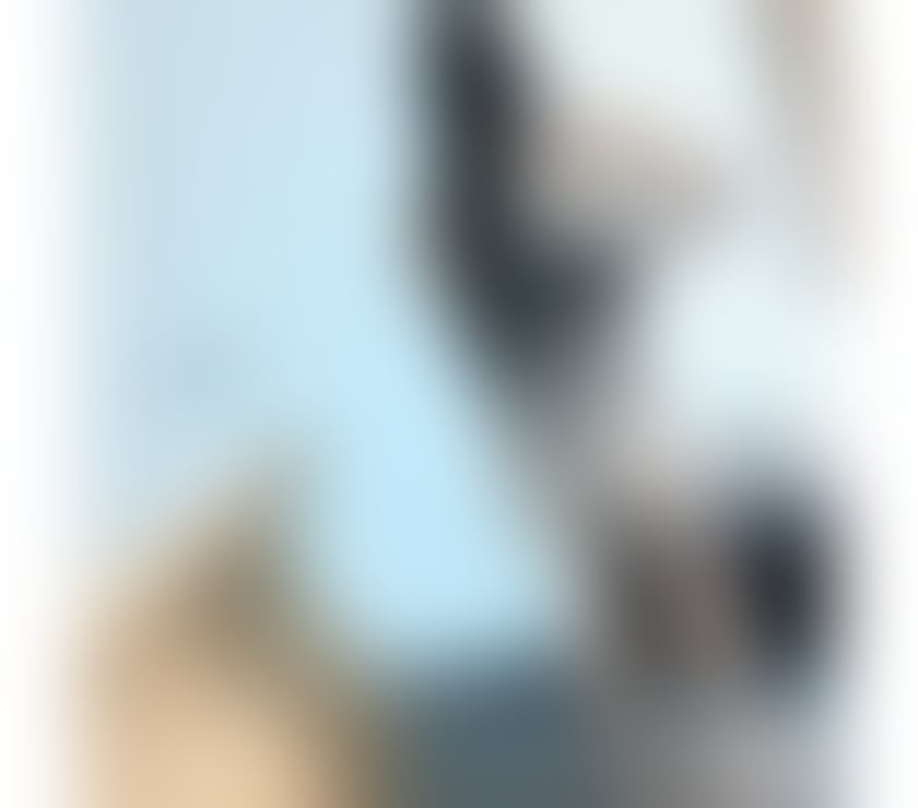 Escorts Norfolk Norwich - Photos for 🥀♥️🥀💞New Girls Party‼️❤️