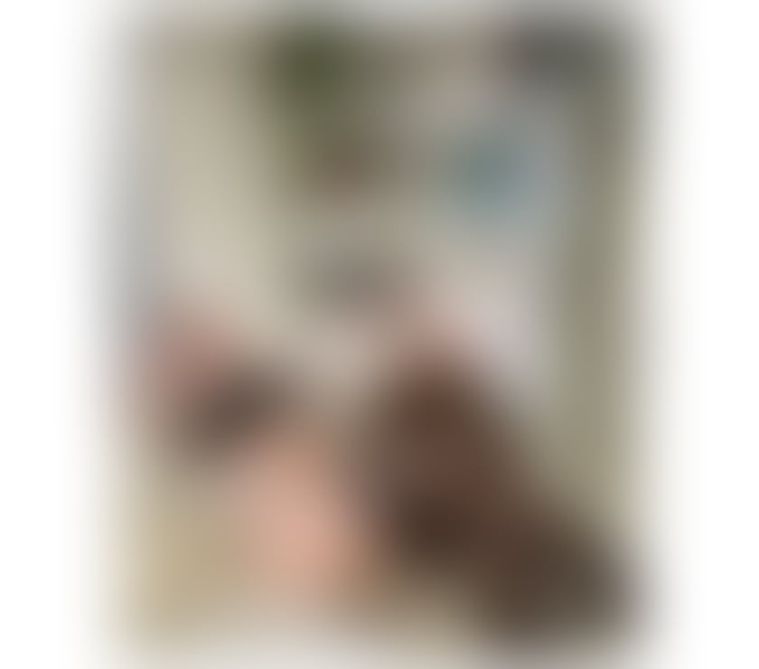 Escorts Wiltshire Swindon - Photos for Beautiful, Feminine & Very Attentive Lady