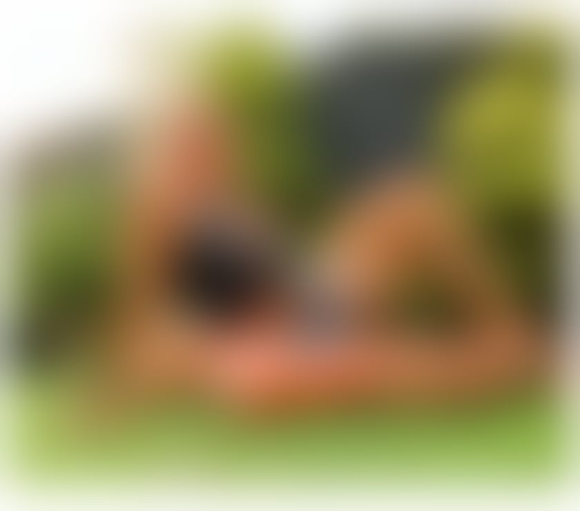 Escorts Irvine North Ayrshire - Photos for Sexy Nina at Irvine