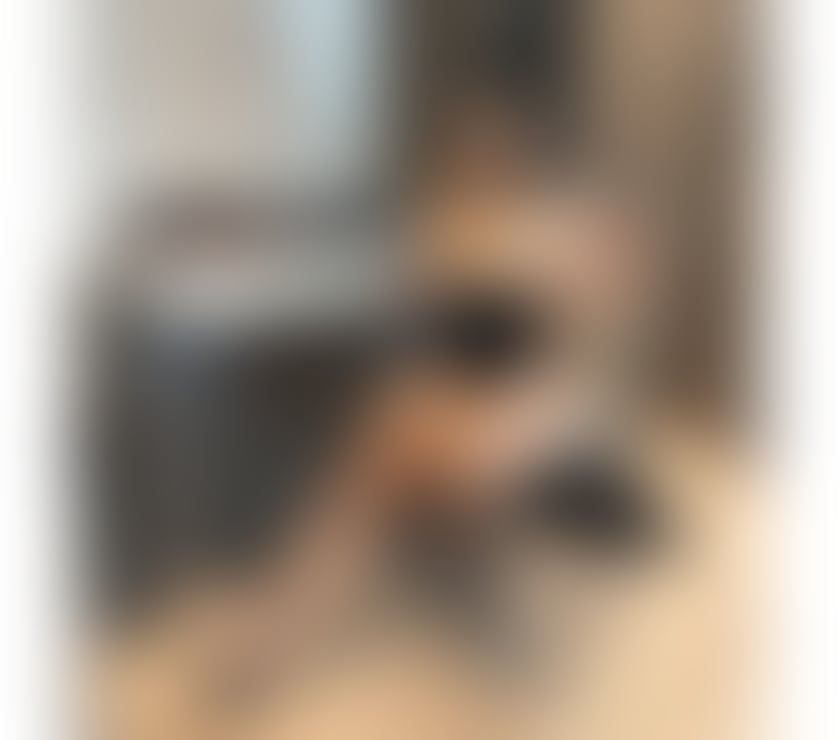  Escorts & Erotic Massage Smethwick Sandwell - Photos for ❤️E R I C A❤️ Best services❤️Party🥳❤️