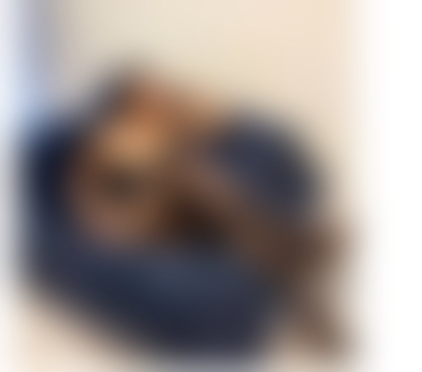 Escorts Staffordshire East Staffordshire - Photos for Hi Guys I'm Jani Thai Escort B2B massage