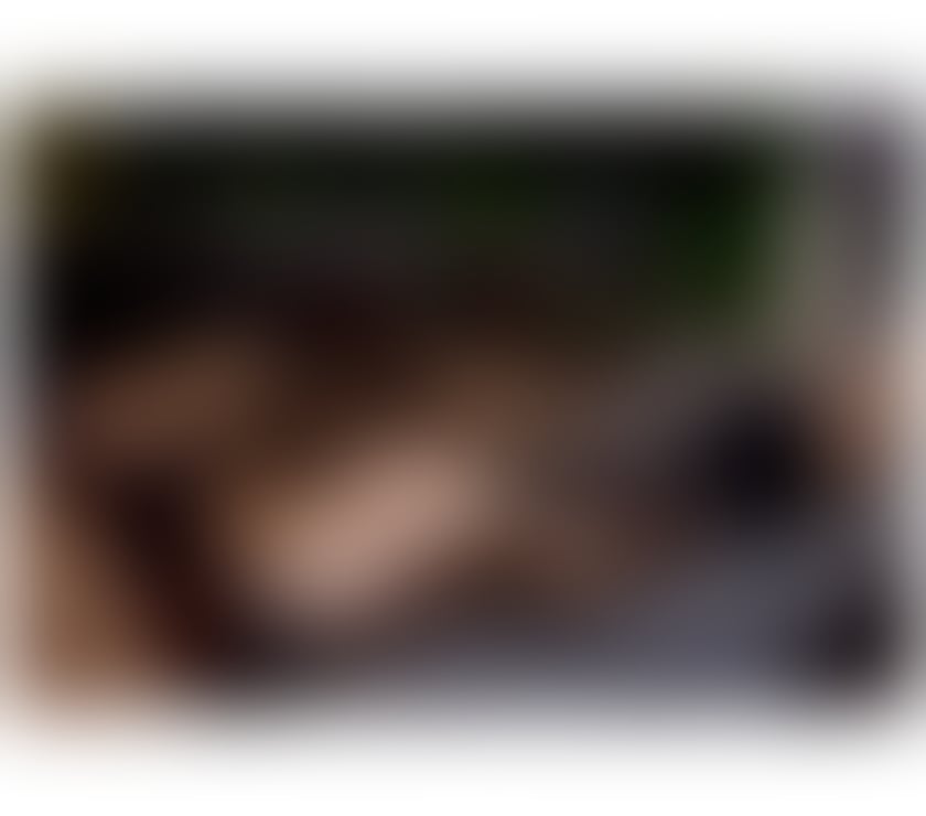 Escorts Leicestershire Leicester - Photos for ✨ Mel Brazil finest Opulence