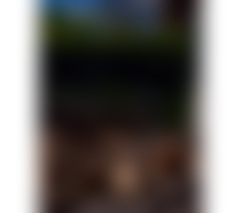 Escorts Leicestershire Leicester - Photos for ✨ Mel Brazil finest Opulence