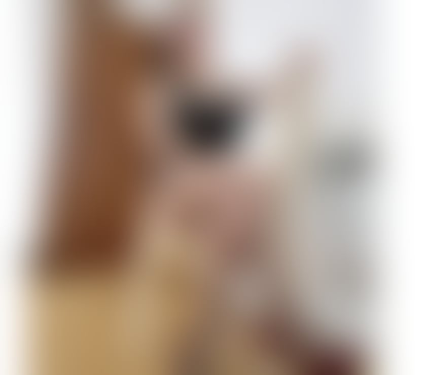 🫦NEW NADA BIG TITS 🫦 sexy thai lady 😍 real 💯