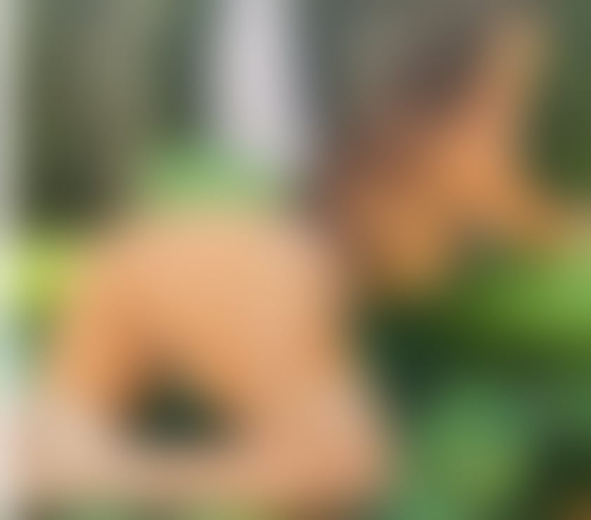  Escorts & Erotic Massage Bracknell Bracknell Forest - Photos for ❤️ EROTIC MASSAGE PARADISE ❤️