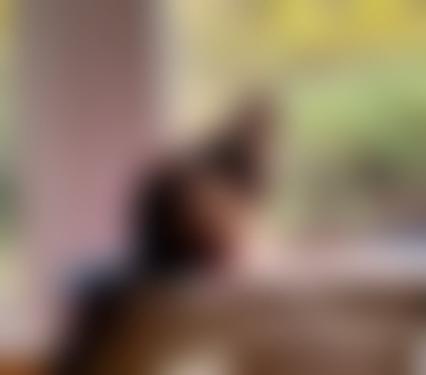 🩷CAT ASIAN THAI HOT OIL MASSAGE NO RUSH 🩷