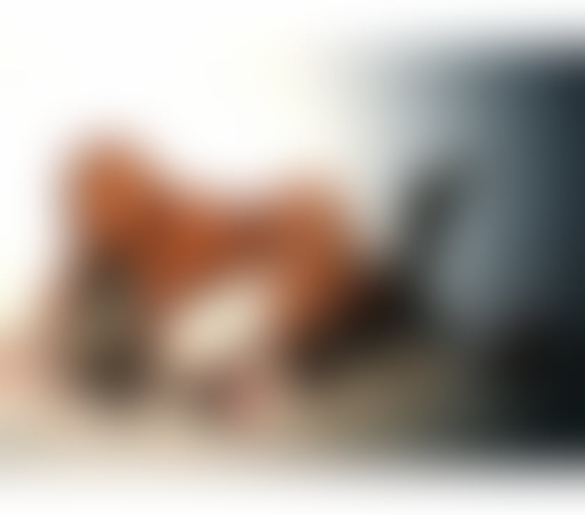 Escorts North London Enfield - Photos for TS Vale ✨ First time