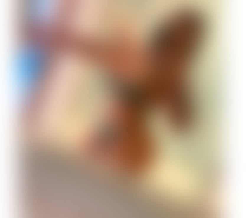 Escort Sydenham South East London - Photos for 🍑💦 Carolina Party 24hrs 🍑💦