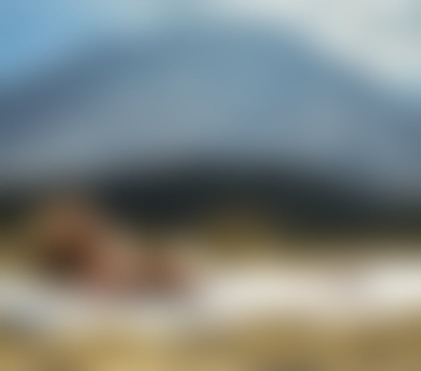 Trans Escorts Greater Manchester Manchester - Photos for Lexxi Mexican big booty