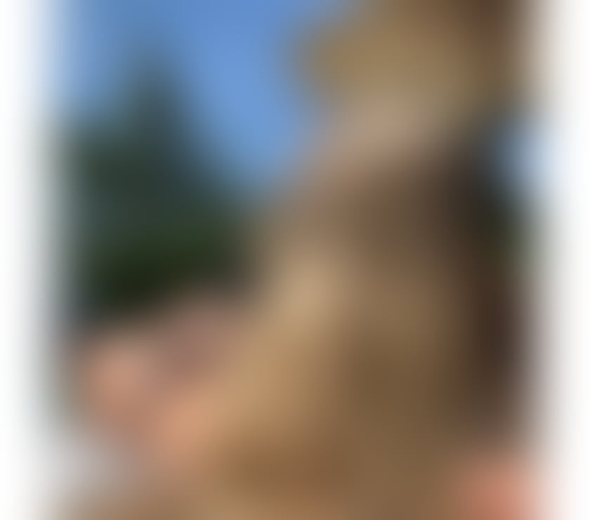 Escorts Bedfordshire Bedford - Photos for SABRINA 🩷🩷 NO RUSH 🩷🩷