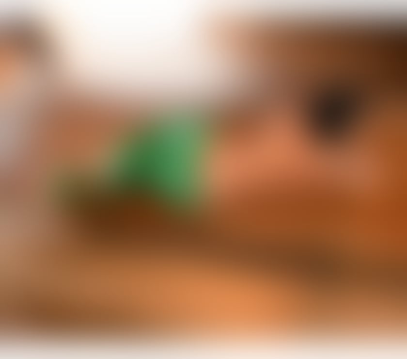 Escorts Staffordshire Stoke-on-Trent - Photos for NATALIA MILLANO 🔥🇧🇷 PARTY GIRL