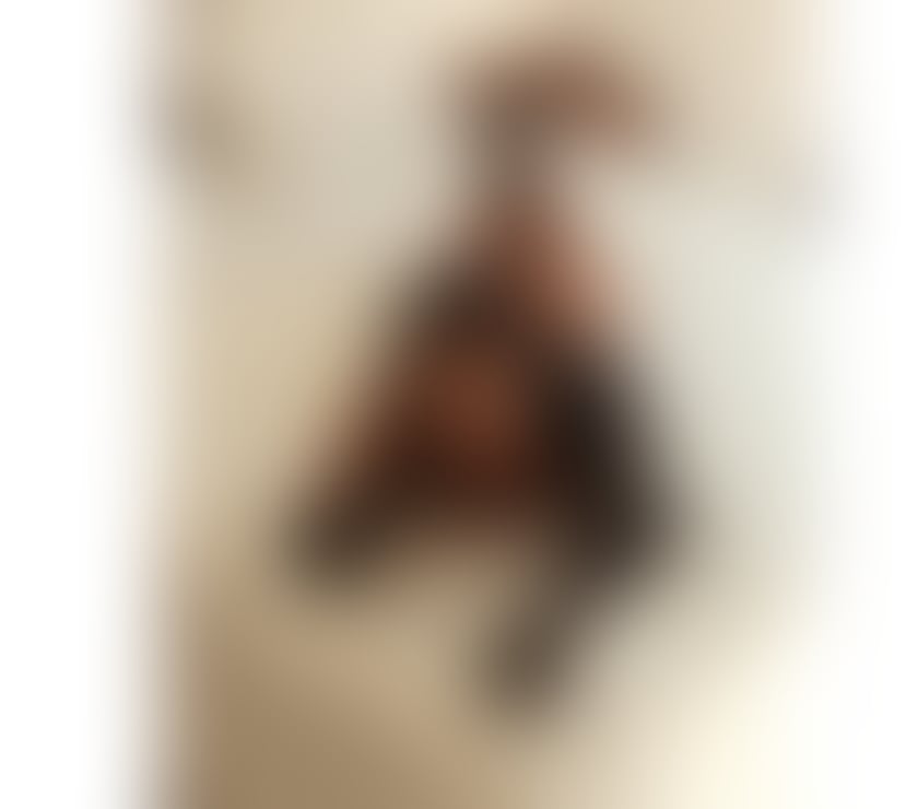 Escorts Greater Manchester Salford - Photos for Maya sexy fitness lady busy outcalls 1 week x