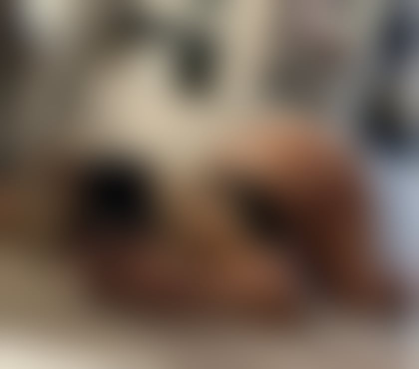 Escorts West Midlands Walsall - Photos for ♥️NO RUSH SERVICES ♥️ONLY OUTCALL