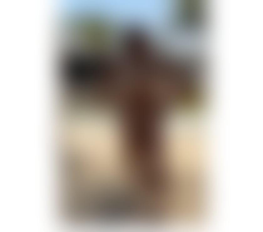 Trans Escorts West Yorkshire Leeds - Photos for MANU Savassi A SEXY AND NAUGHTY BRAZILIAN TS 🔥😈