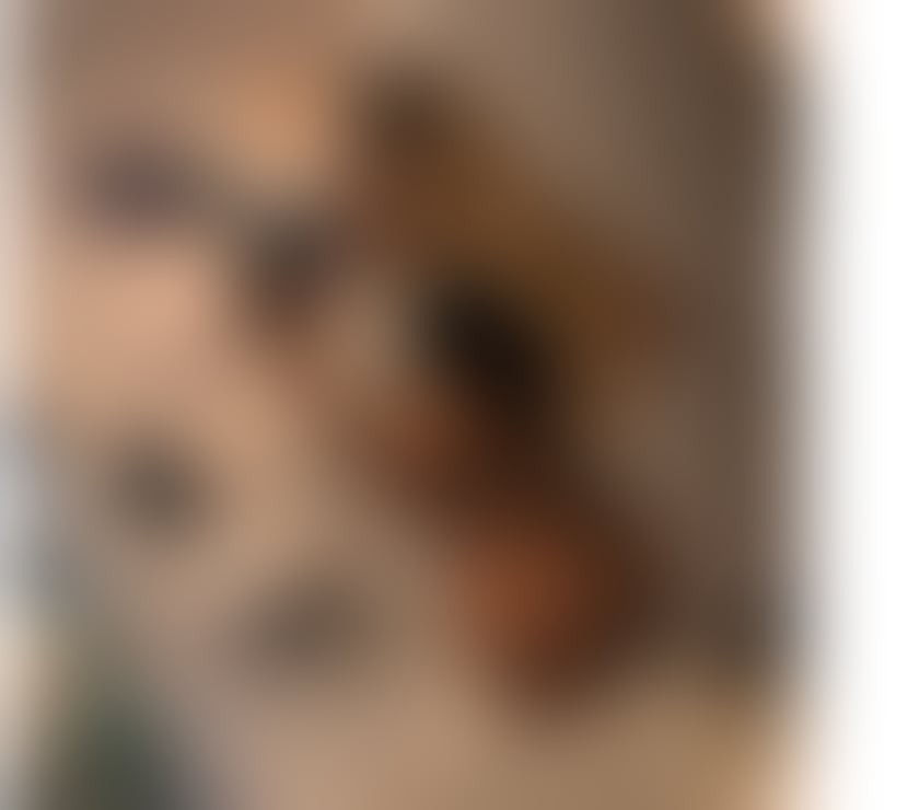 Trans Escorts Oxfordshire Oxford - Photos for ANGELL SANCHEZ🧚✨ FULL SERV🖤 XXL🔞