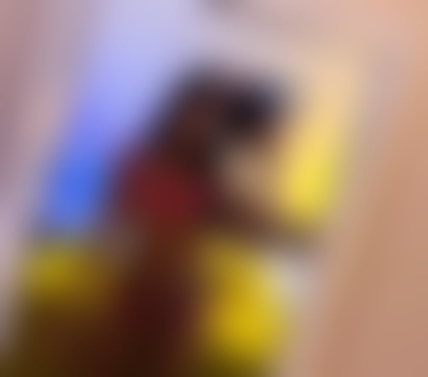 Escorts Dorset Bournemouth, Christchurch and Poole - Photos for NEW DWARF STHEPHANY 🍄😍100% REAL 🍾🇧🇷