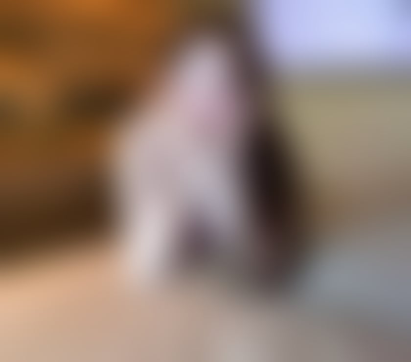 Escorts West Yorkshire Leeds - Photos for ✨GOOD service✨ LEEDS✨ Asian Escorts LS11