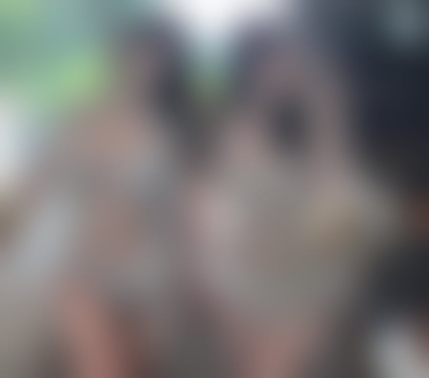 Churwell - Leeds — ✨New Asian Escort&Massage in LS11💦No Rush